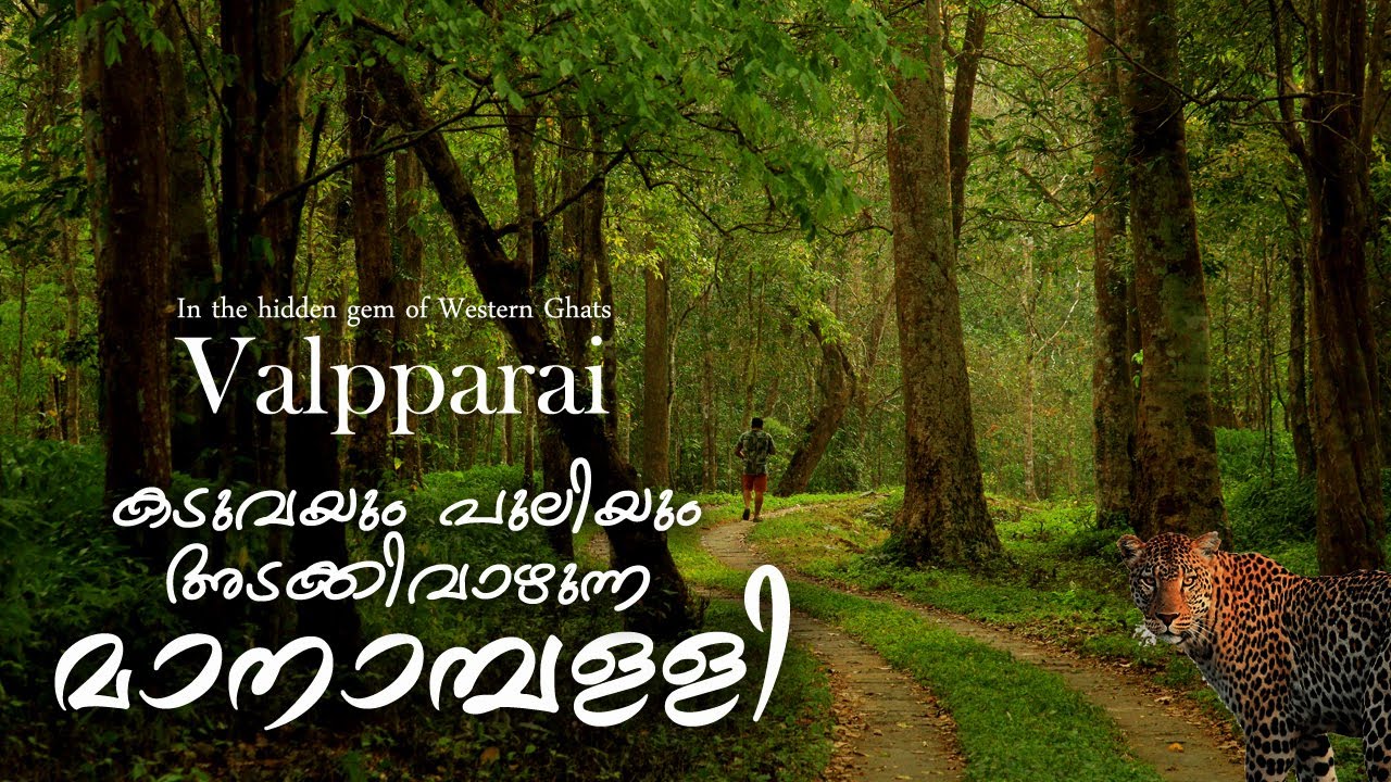 കടുവയും പുലിയും വാഴുന്ന കാട്ടിൽ ഒരു നാൾ താമസം | Manampalli Forest Rest House | Valparai