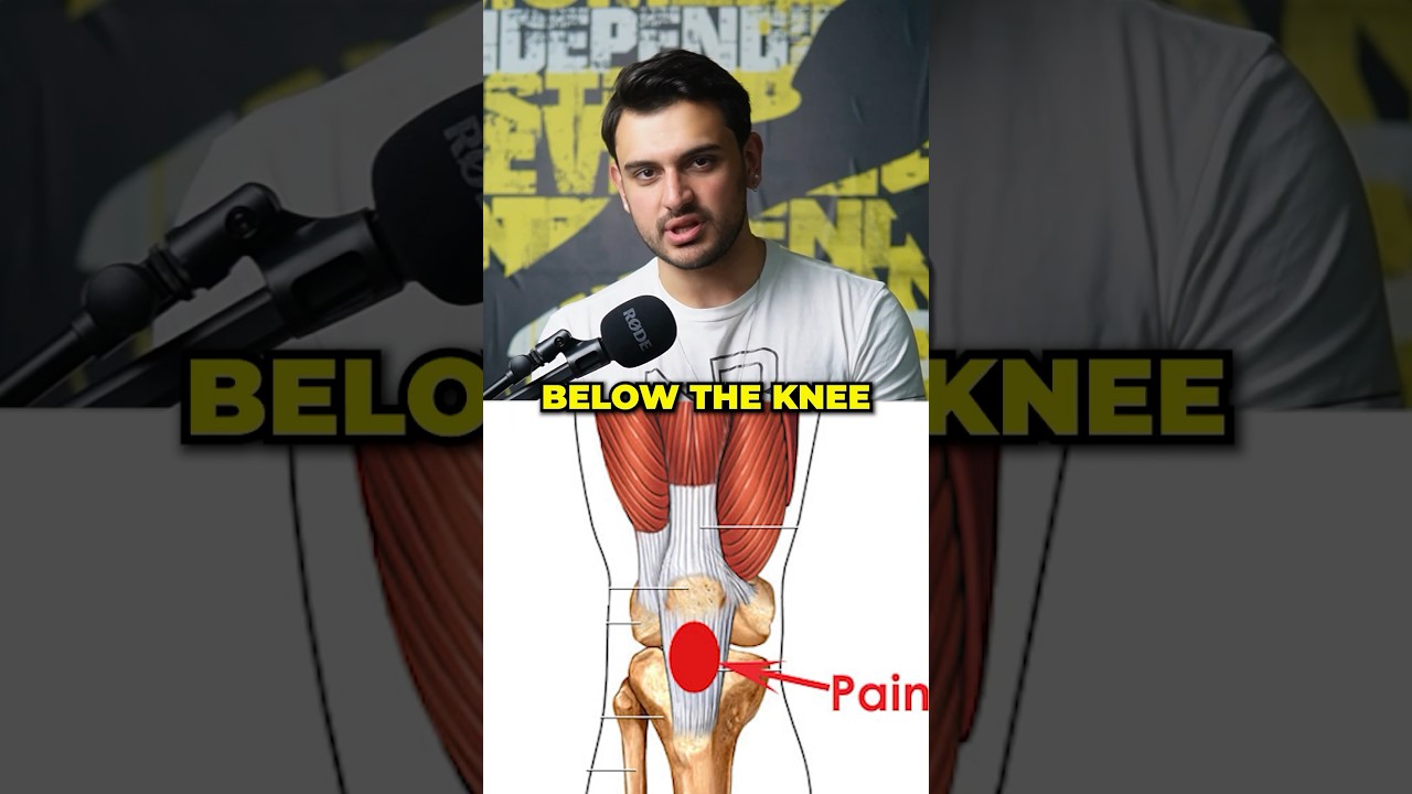 Jumpers knee fix - how to! Knee pain when playing basketball or volleyball #kneepain #recovery #gym