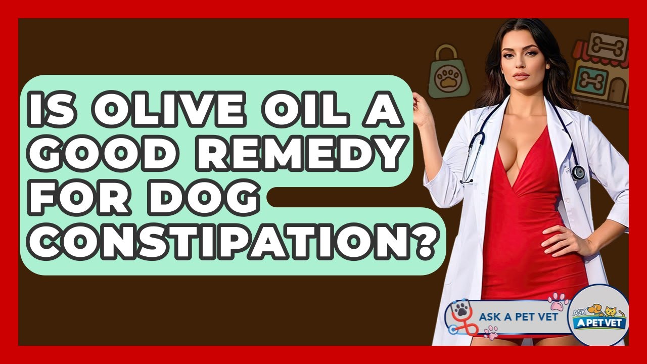 Is Olive Oil A Good Remedy For Dog Constipation? - Ask A Pet Vet