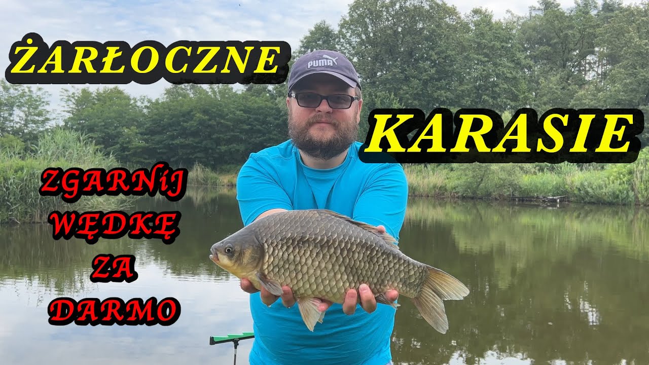 DLACZEGO KARPIE NIE ŻERUJĄ? DOMINACJA ŻARŁOCZNEGO KARASIA i ROZDAJEMY WĘDKĘ! ZA DARMO!