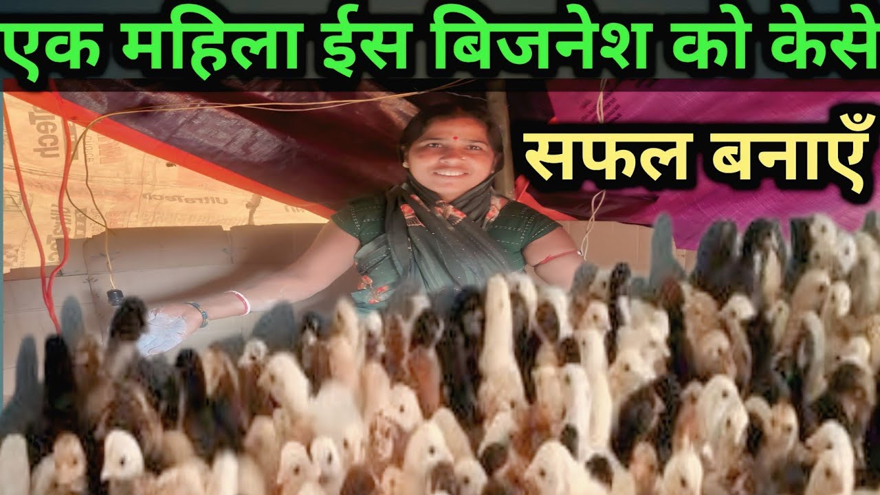 एक महिला ईस बिजनेश को केसे सफल बनाएँ#minaparajapatiofficial#murgifarmingvideo#vlog#cooking#food#
