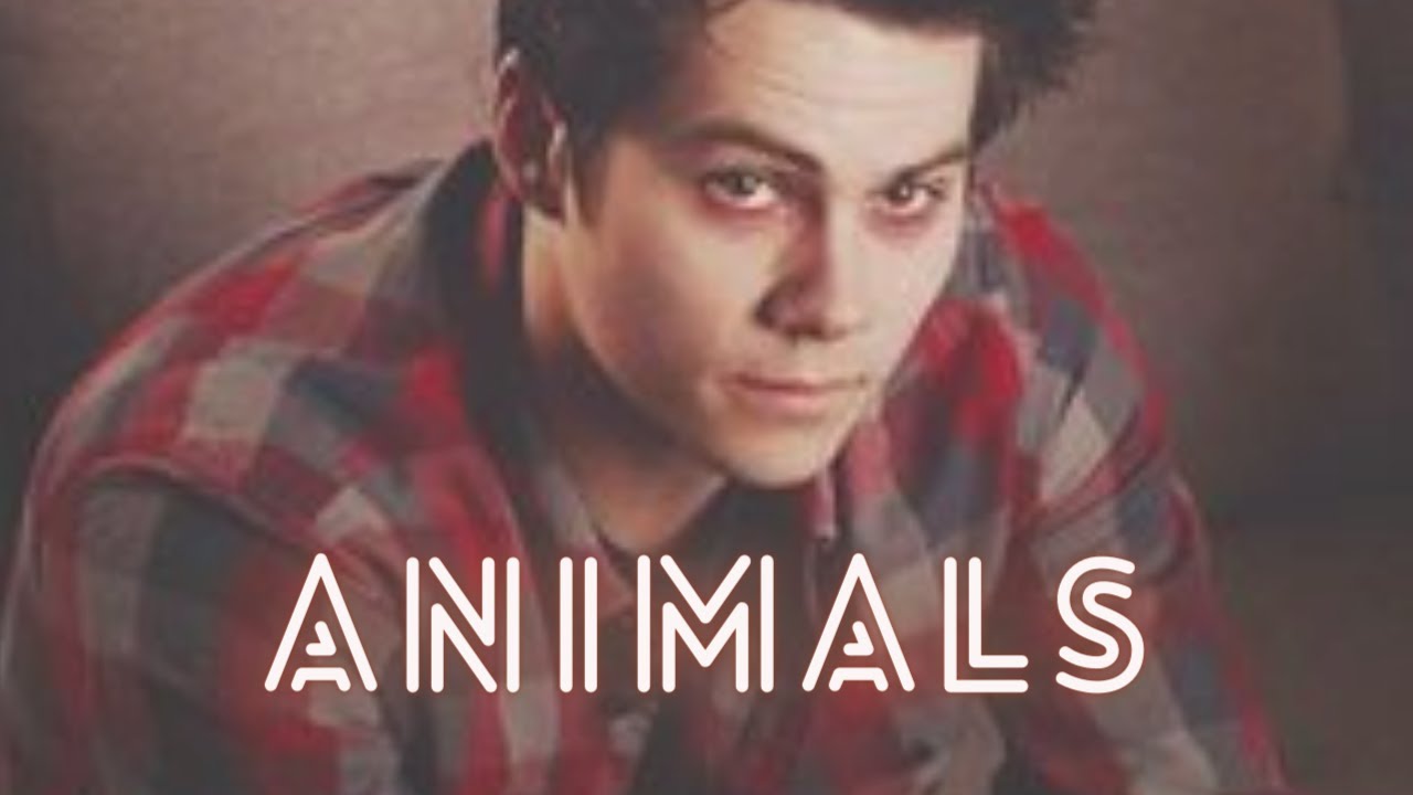 Multimale - Animals