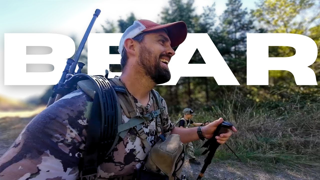 Вы это видели???