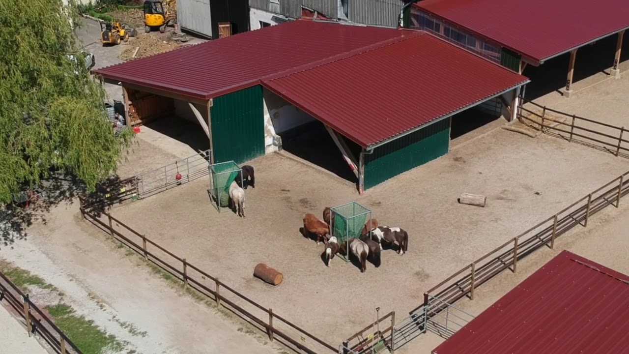 Aktiv Stall Pferdeland am Elm