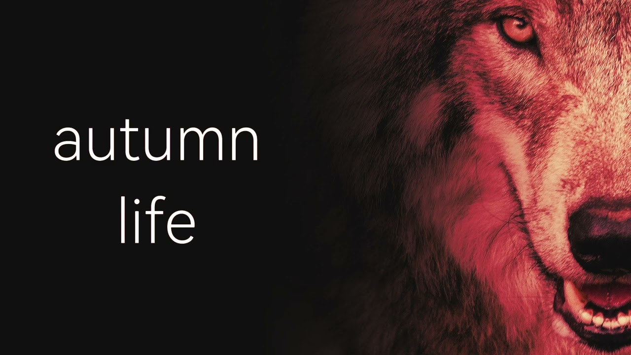 Blood Mask - autumn life