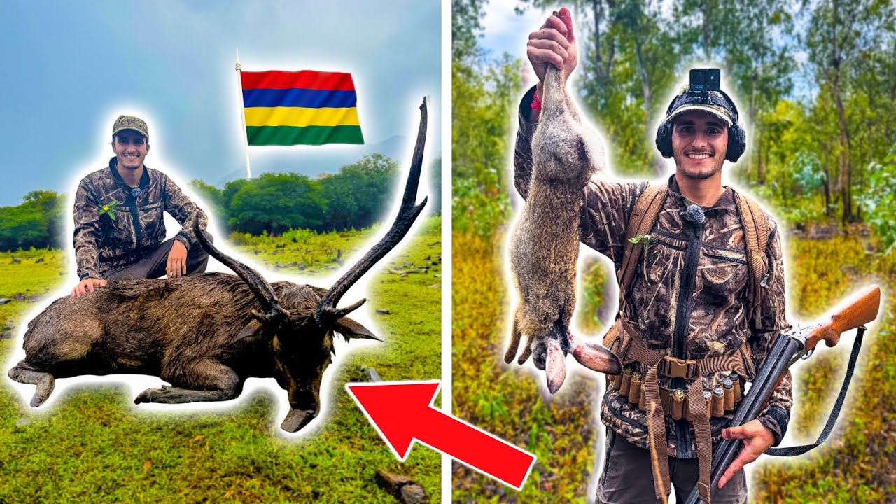 Je Pars Chasser le Cerf et le Petit Gibier &agrave; l'&Icirc;le Maurice !