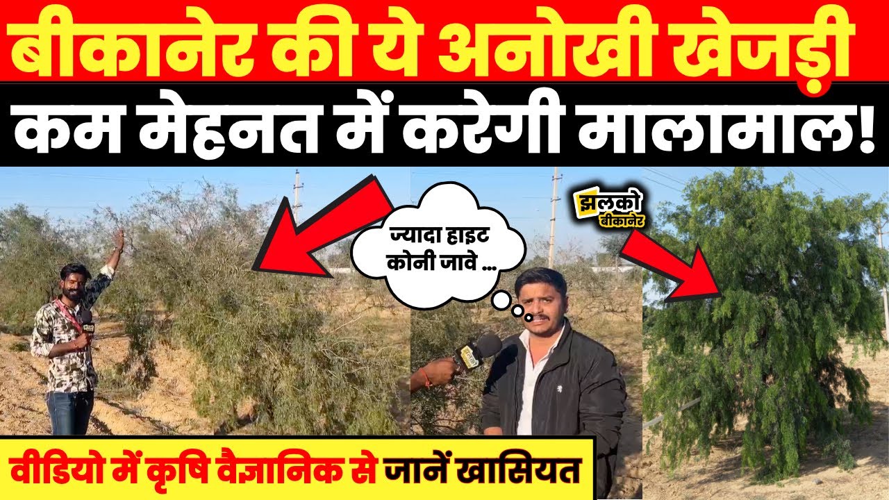 Bikaner के 