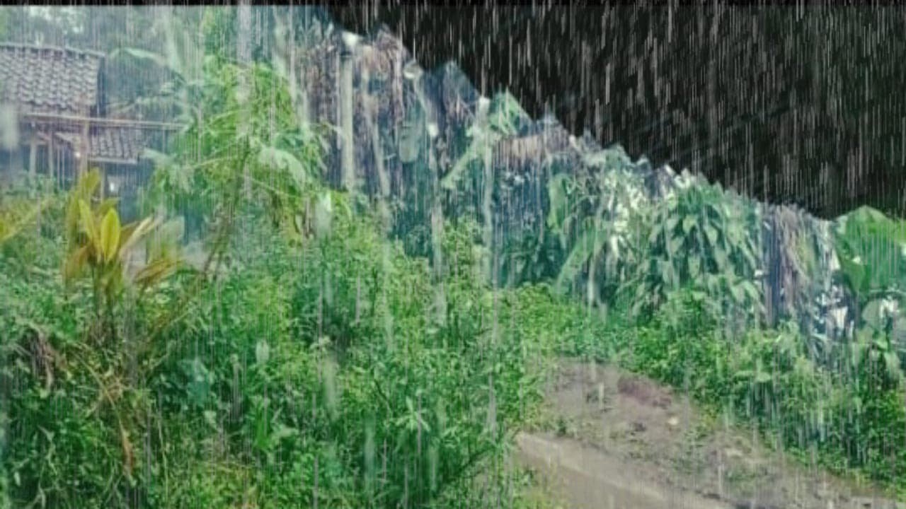 Натуральные средства с дождем 🌧️ Спокойный деревенский дождь для сна, снятия тревоги и душевного