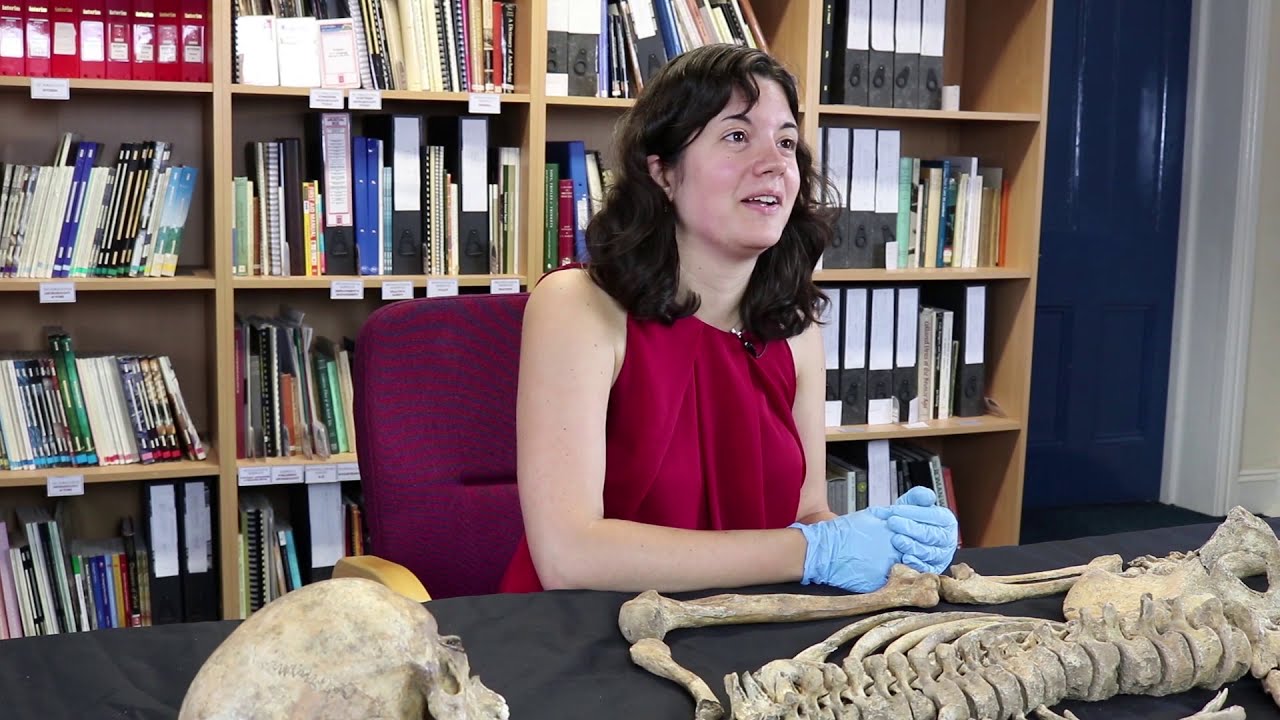 Gladiators: A Cemetery of Secrets touring exhibition background