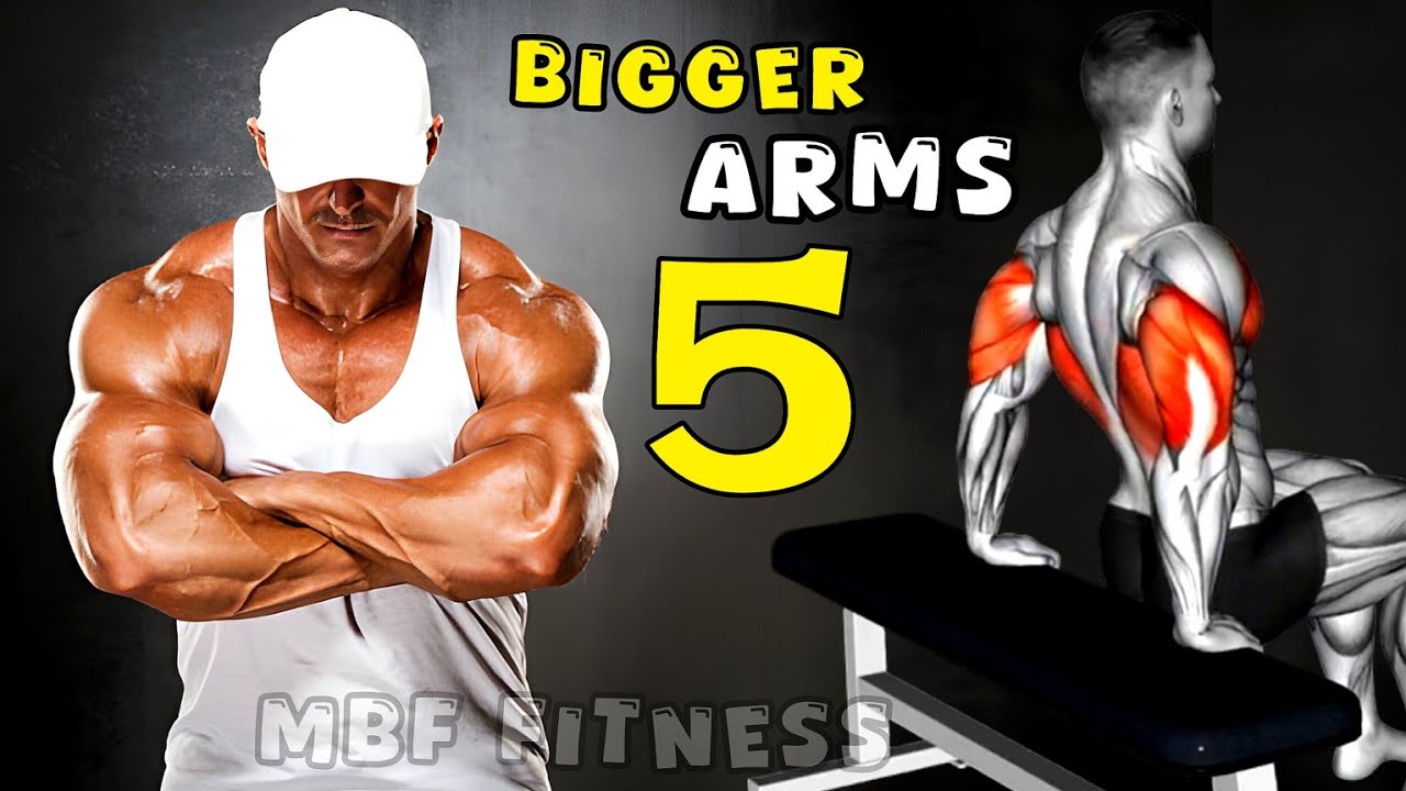 Perfect Triceps Exercises (Best Triceps Workout) For Strong & Muscular Arms – GYM