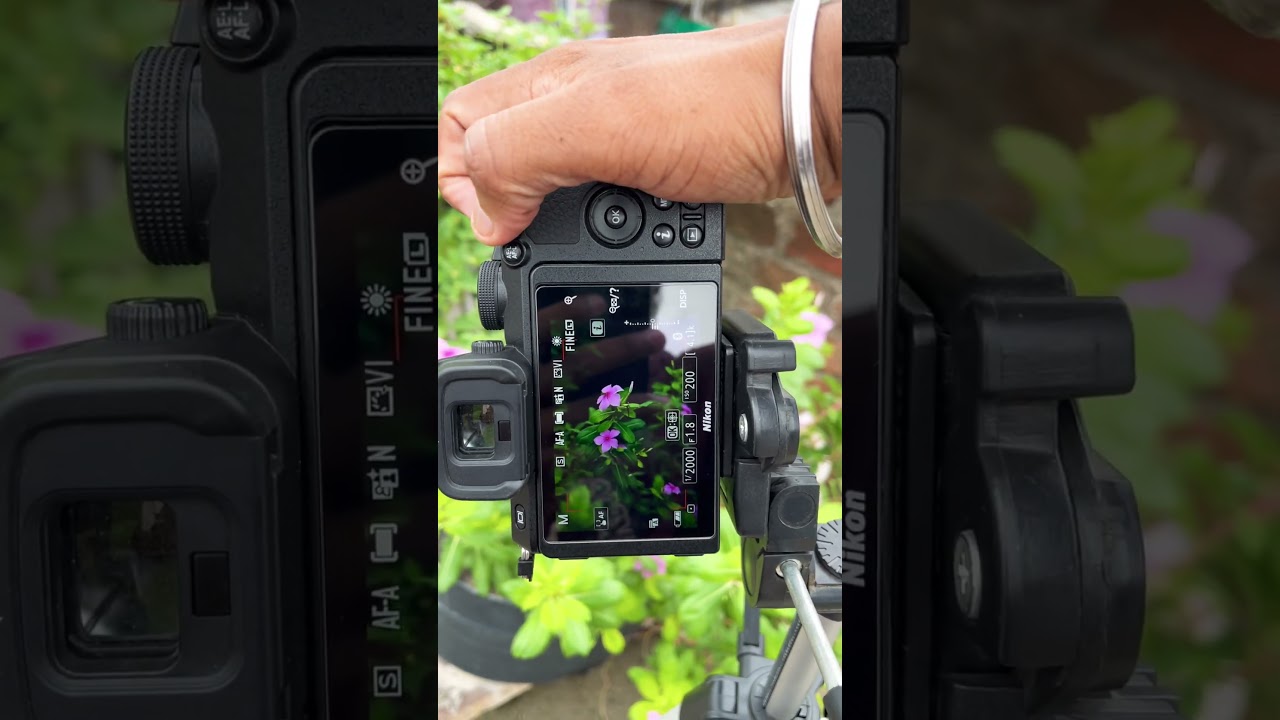 Nikon z50 Photography test🔥 #viral #shorts #photography #photoshoot #nikon #z50 #veerjix1