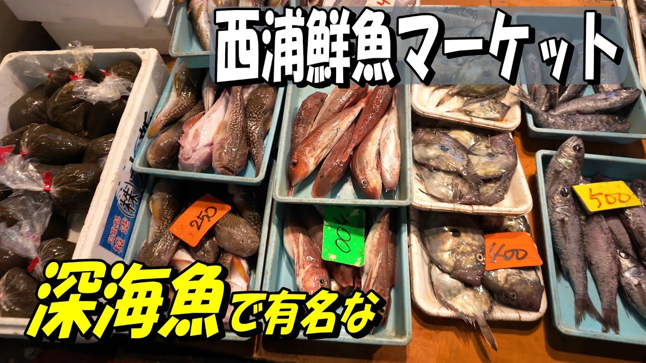 【西浦鮮魚マーケット】深海魚で有名なこの市場。揚げされたばかりの深海魚はあるのでしょうか？