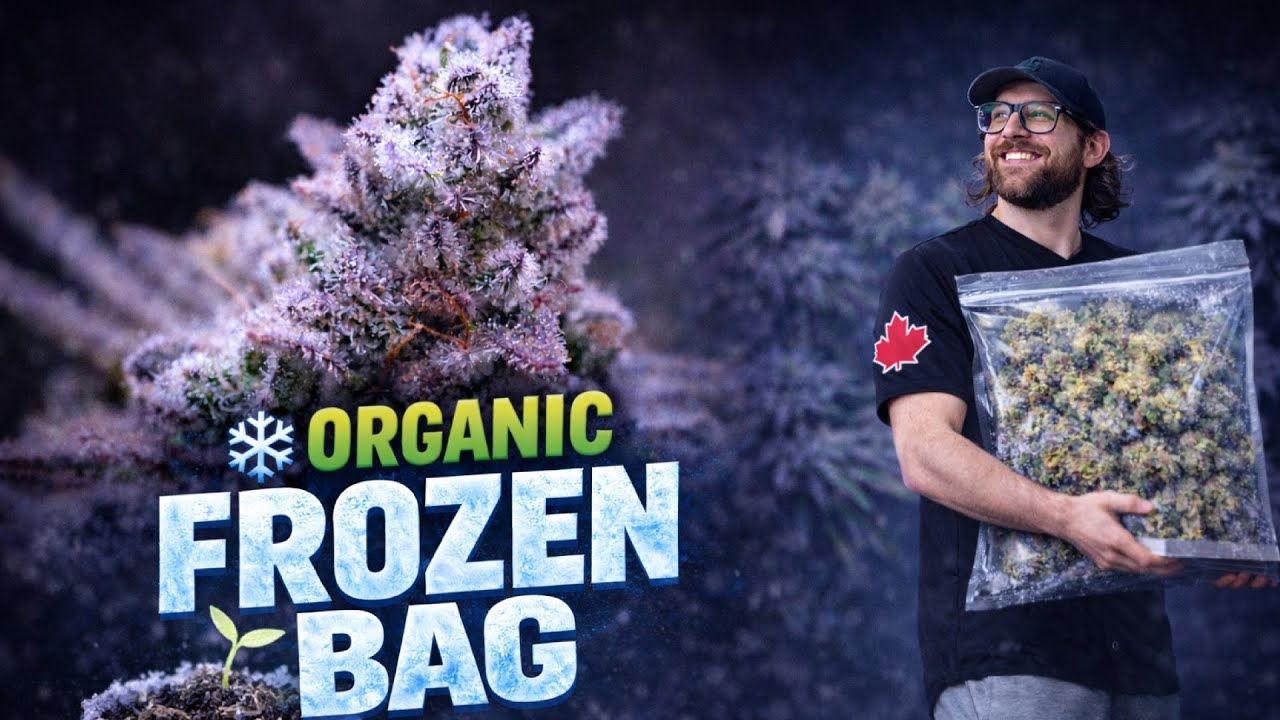 ORGANIC FROZEN BAG | INSANE RESULTS! | EVERYTHING I DID