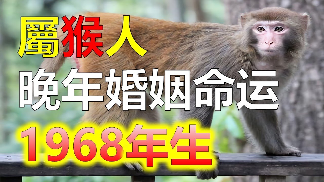 2024生肖運勢，十二生肖1968年屬猴女晚年婚姻命運，生於1968年屬猴女今年已經邁入老年了，關於屬猴女未來的生活，1968年的屬猴女，以後的婚姻狀況如何。（生肖猴）