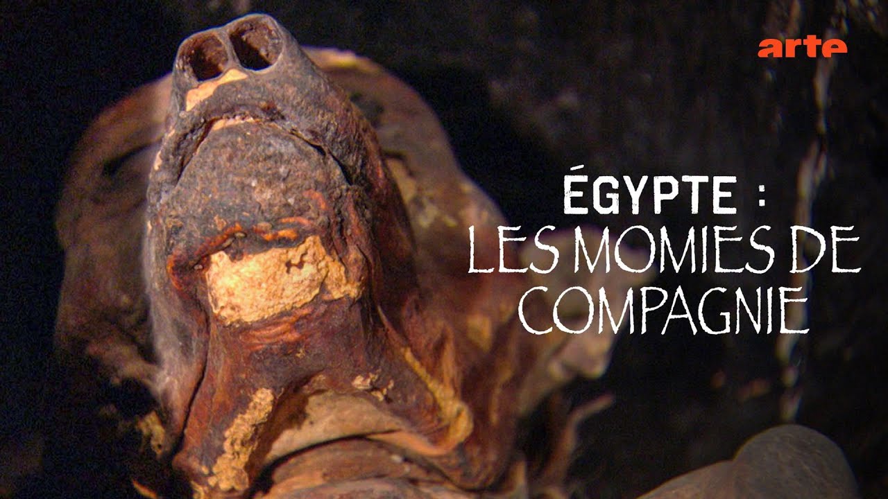 &Eacute;gypte ; les momies de compagnie - Arte Documentaire