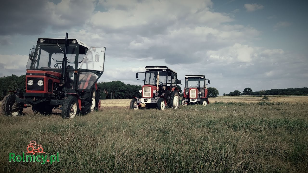 Polskie Żniwa 2019 | Ursus-Bizon-Zetor | RolnicyPL