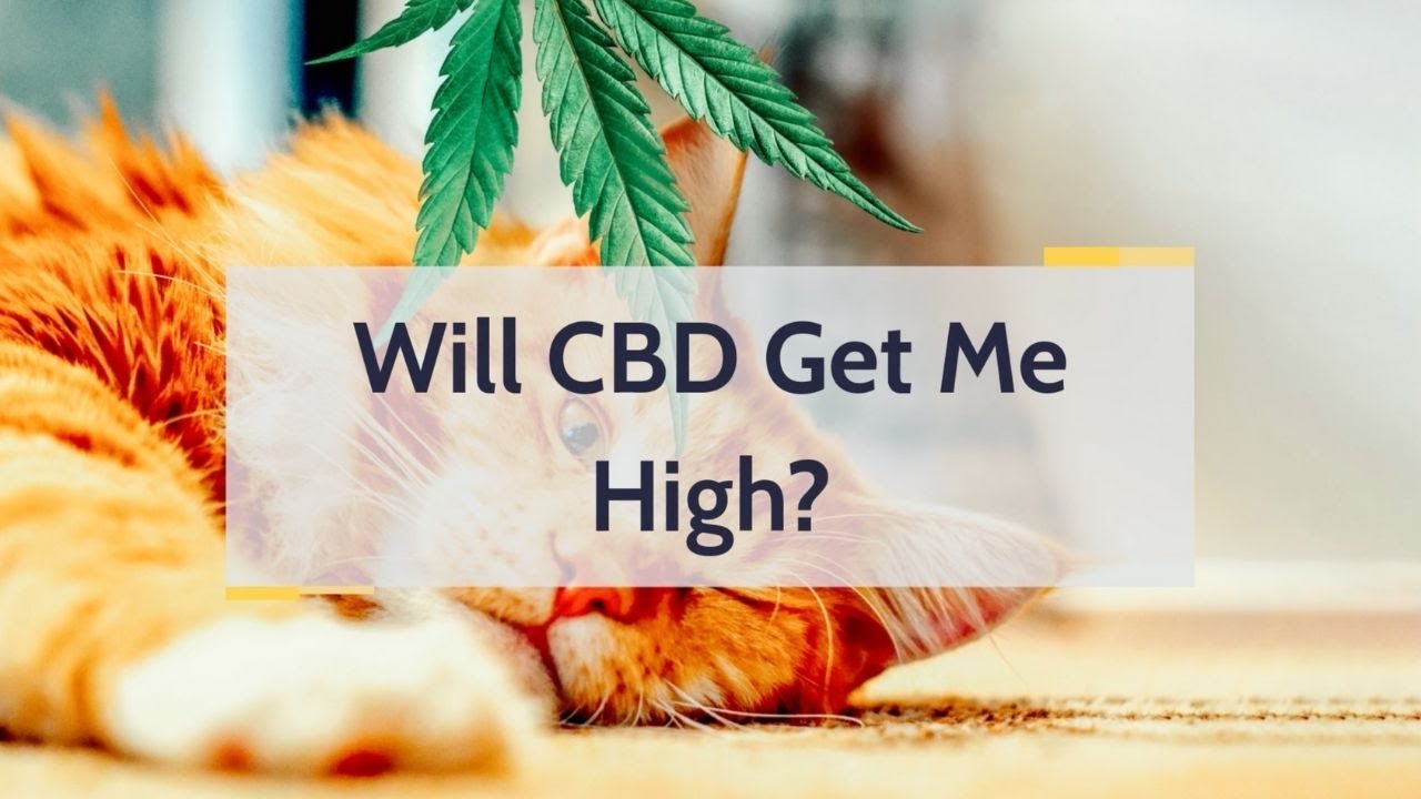 Will CBD Get me High?