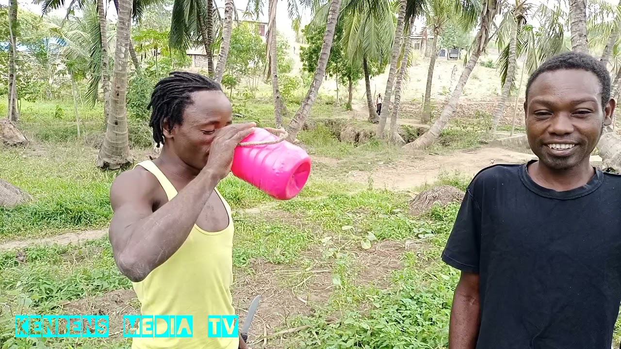 MGEMA AKISIFIWA: How Giriama people taps Wine (Mnazi) from a Coconut tree.