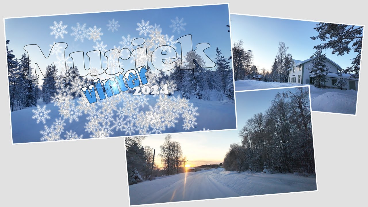 Murjek vinter