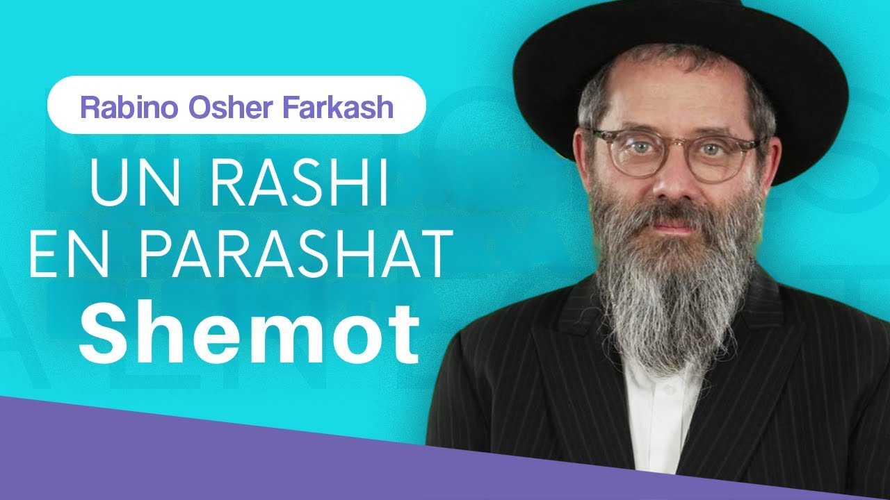 El asno de Avraham, Moshe y Mashiaj, El asno más antiguo de la historia | Parashat Shemot