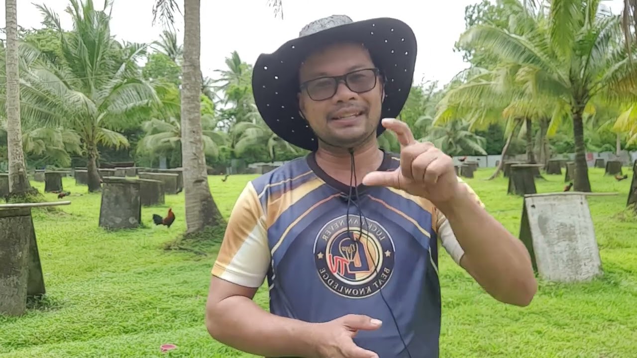 Paano magpapalabas ng High Station na Manok