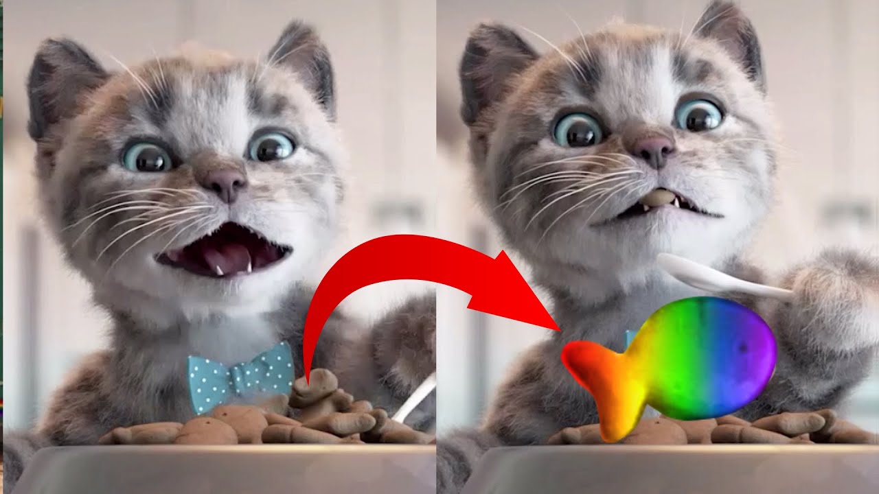 Little Kitten Preschool - Early learning for children - Kitten Go To School Fun Preschool Kids Games
