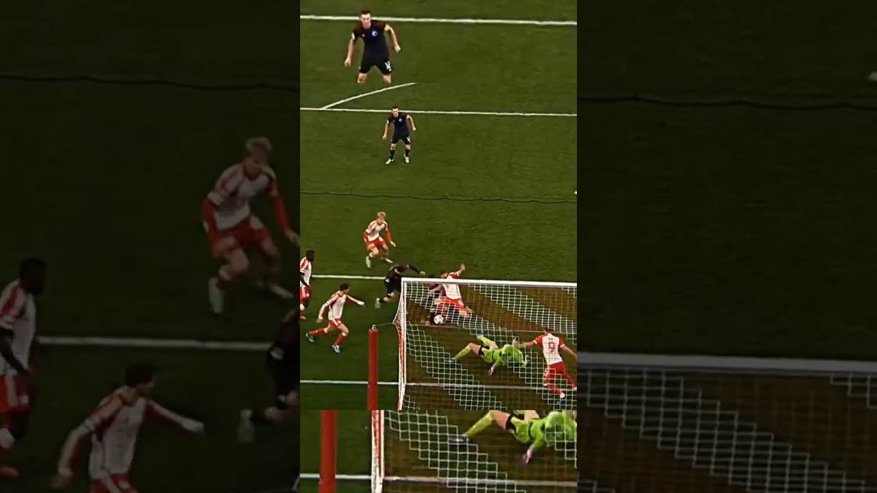 MANUEL NEVER UNA BESTIA DEL ARCO