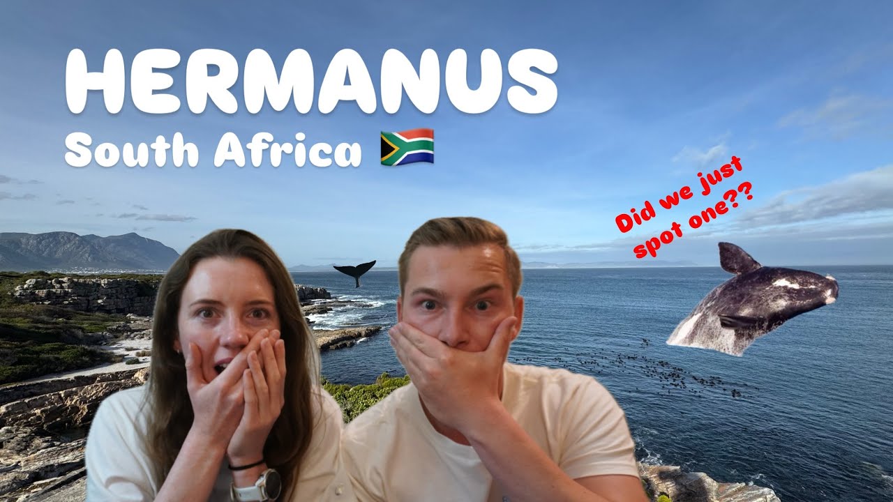 Hiking the 18.2KM Hermanus Cliff Walk | Whale Watching, Dassies & Chili Cheese Fries in South Africa