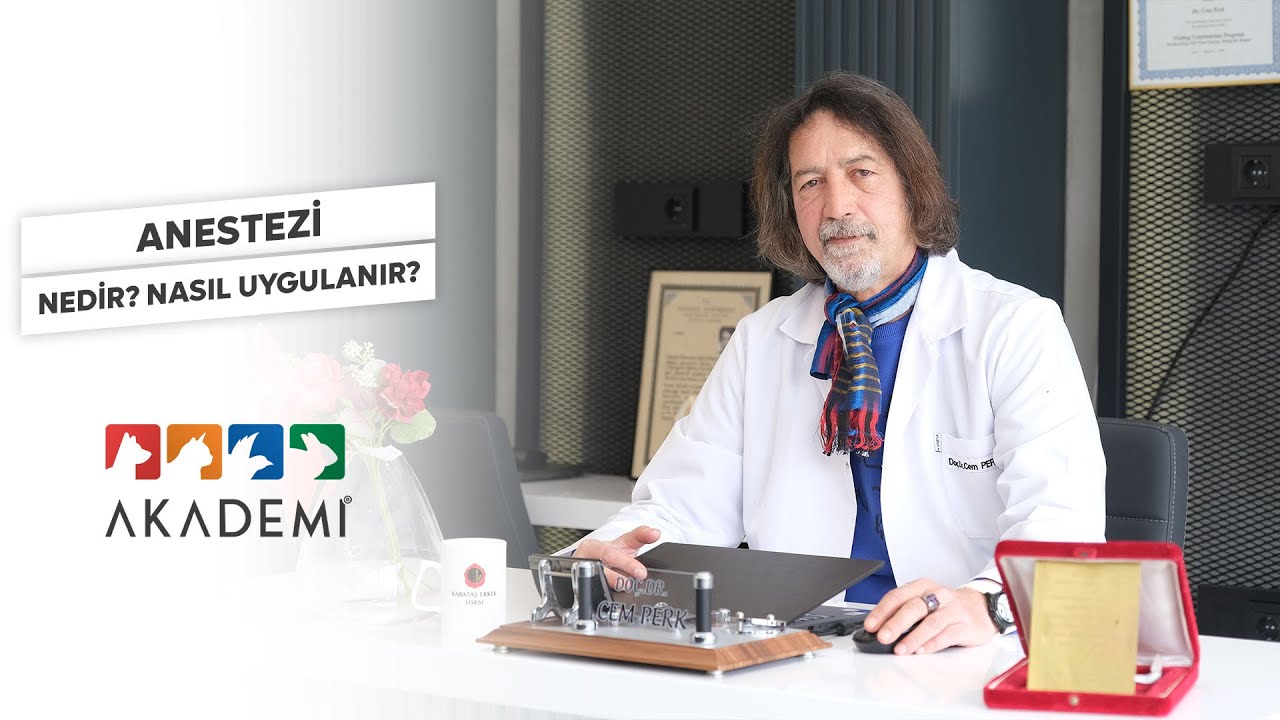 Anestezi Nedir? Anestezi Nasıl Yapılır?