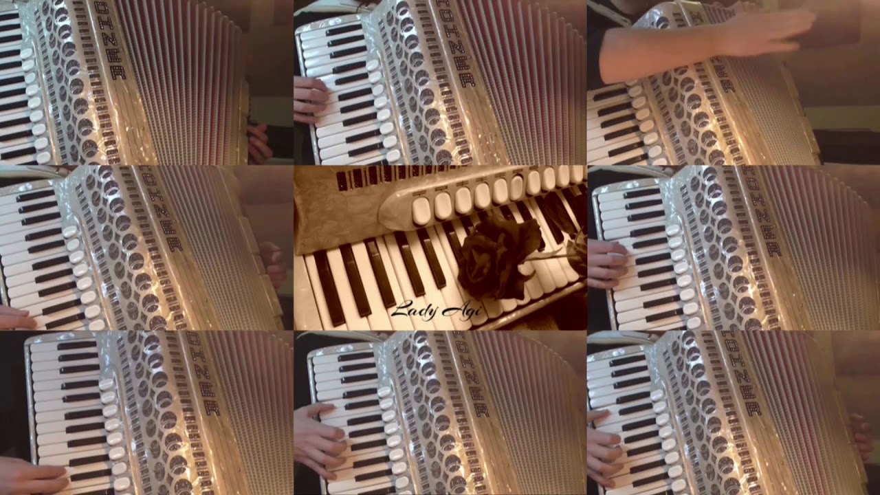 Walpurgisnacht - Faun // Akkordeon Cover
