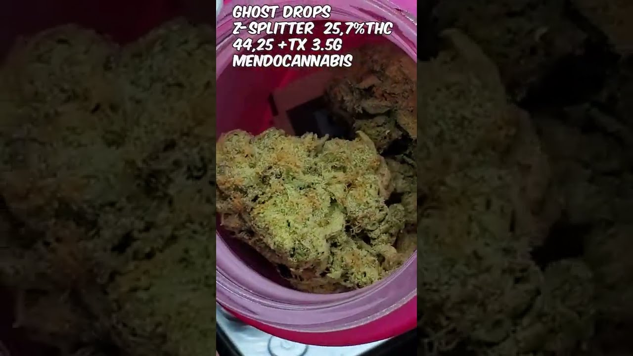 Z SPLITTER, Ghost Drops, 26% THC + HEMP BLUNT 21% THC #short #zoombud  ( zkittlez x atomic splitter)
