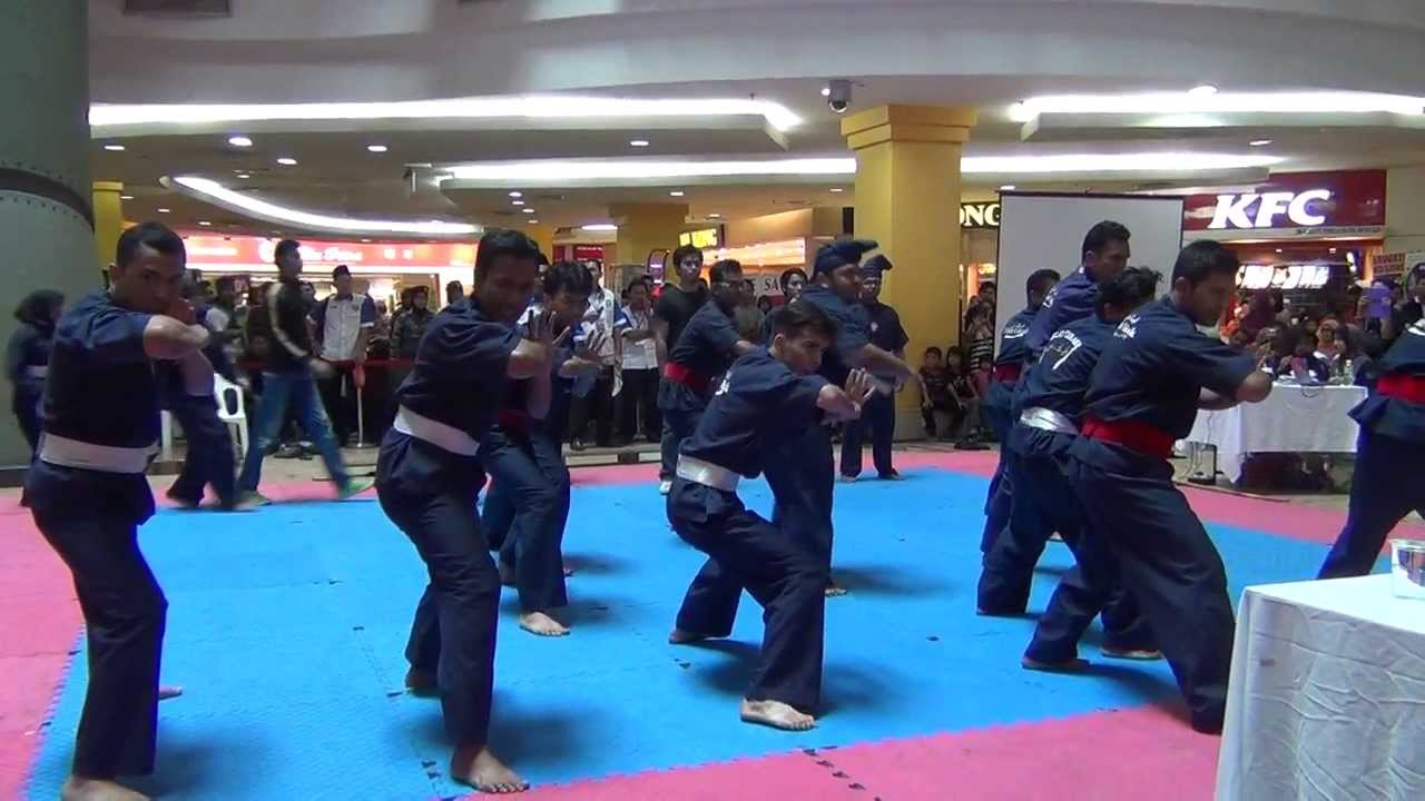 Silat Cekak Pusaka Hanafi Festival Kasih Budaya 2013