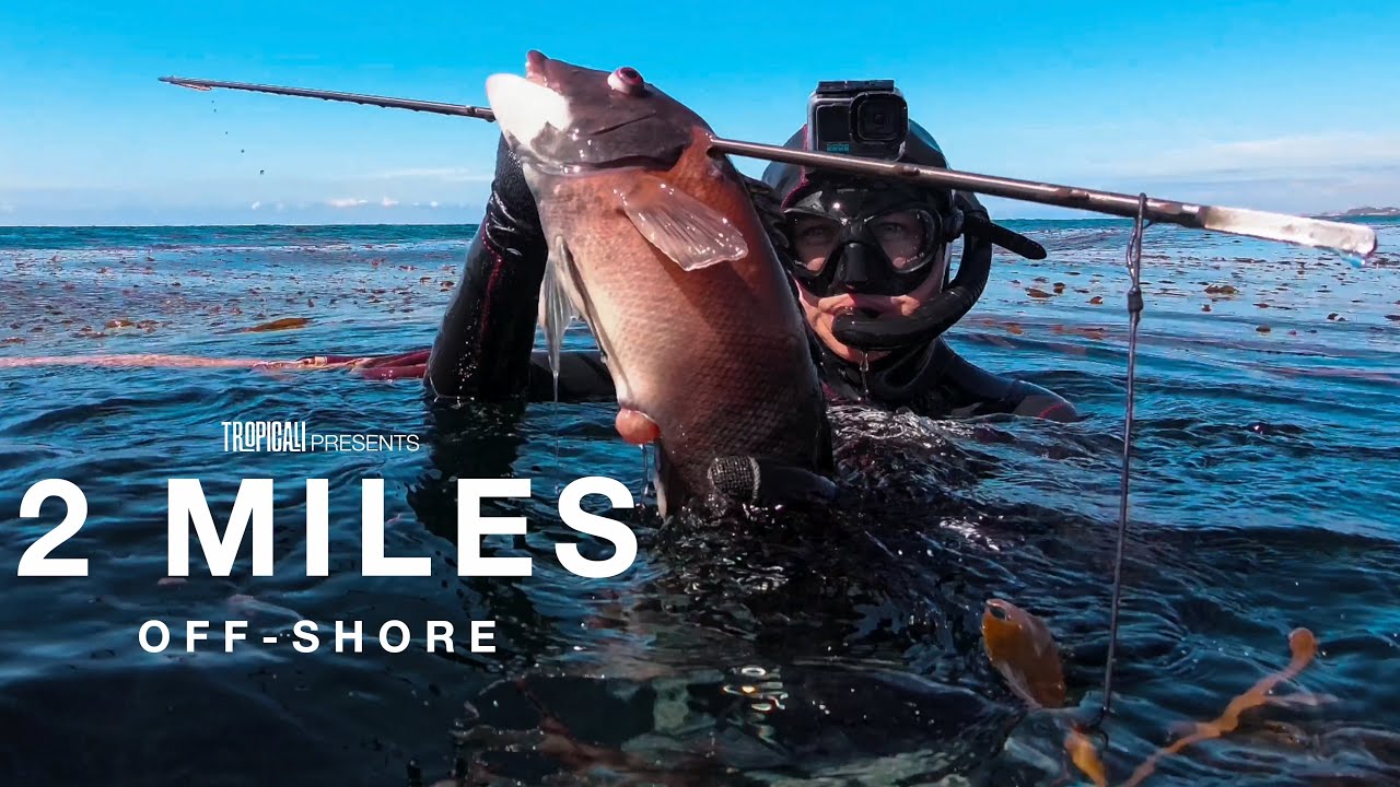 We Swam 2 Miles Off Shore to Hunt Underwater &mdash; Spearfishing Southern California
