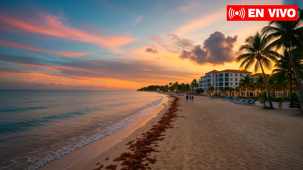 Playa del Carmen en vivo | Playas y La Quinta Avenida