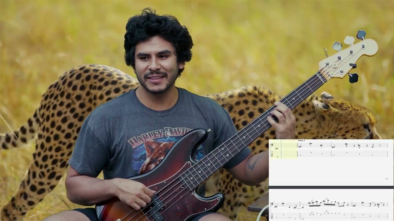 NO MORE LIES - #basscover  #tameimpala #thundercat