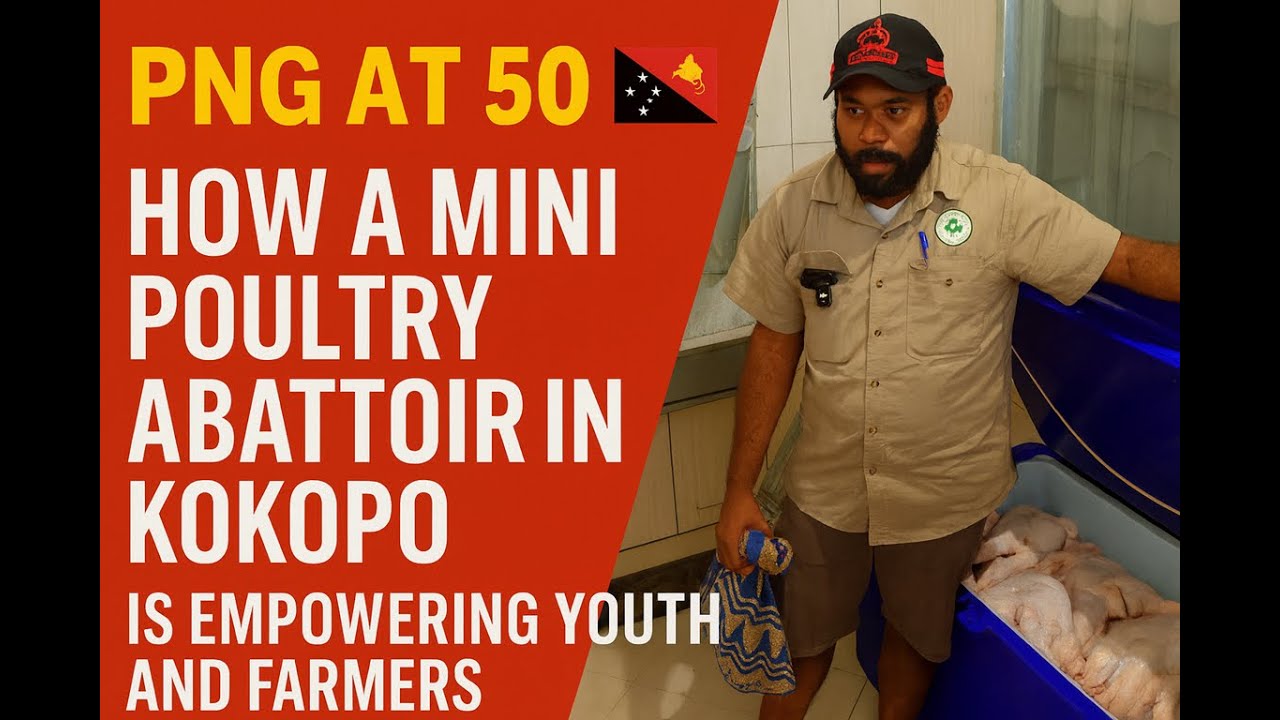 PNG at 50 🇵🇬 | How a Mini Poultry Abattoir in Kokopo Is Empowering Youth and Farmers