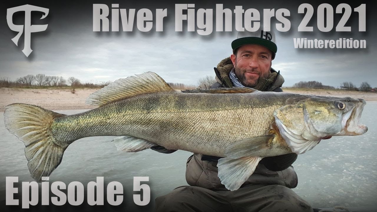 River Fighters 2021 Episode 5  | Traumzander und Großbarsche!