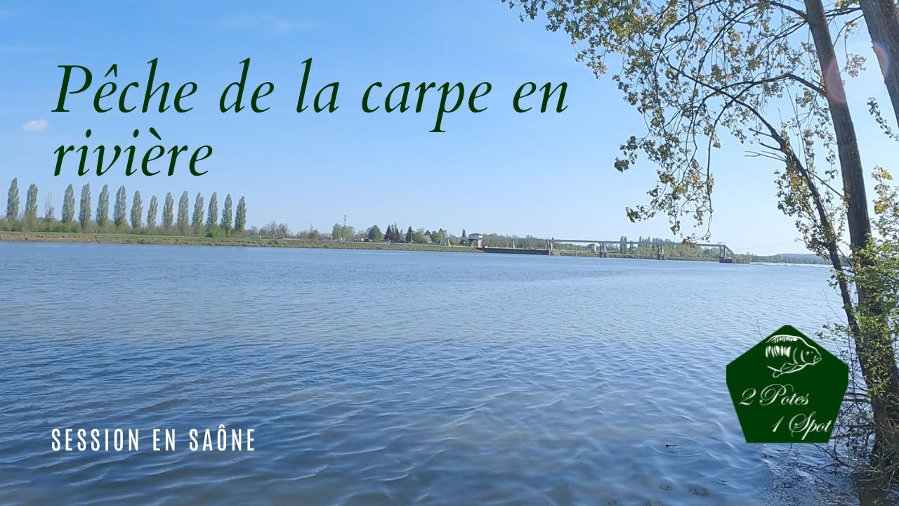Pêche de la carpe // La Saône nous gâte
