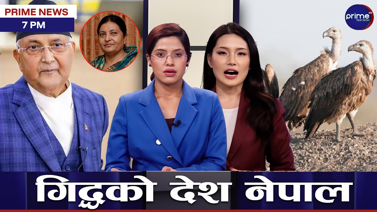 विद्या गुटप्रति ओली झन कठोर, बालिकालाई ठक्कर दिएर मन्त्री भागेपछि..., ओलीलाई बानेलले गरे बहिष्कार