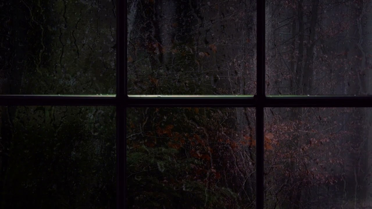 Rain on Window Sounds for Deep Sleep 🌙 8 Hours (No Music)