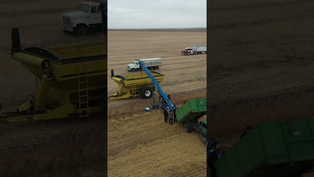 Mr. Yue&rsquo;s works] A Canadian agricultural machinery enthusiasts club recreates the mechanized farm..