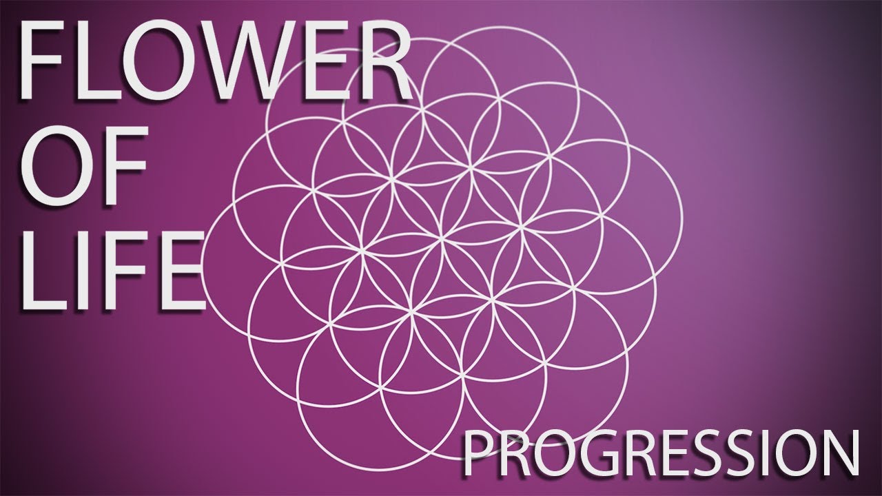 Flower of Life Progression animation by Simon Wieland created for Ariowie.com