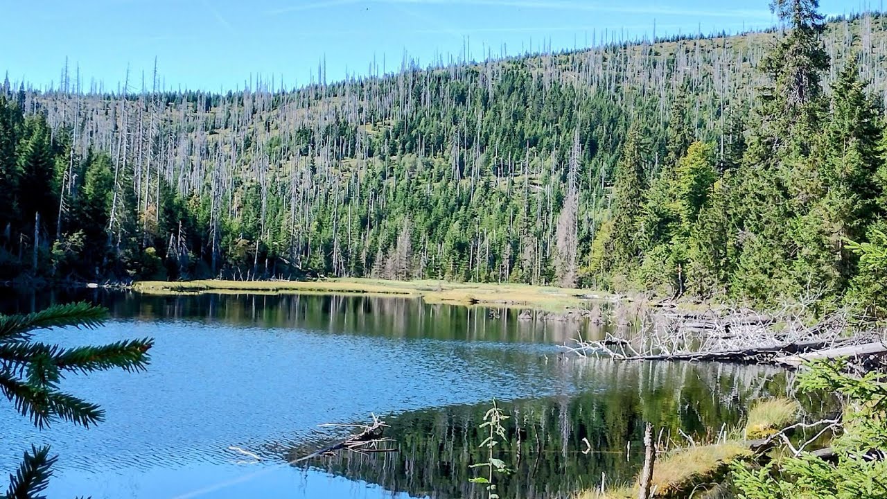 205. Stezka Českem, 18. etapa, Šumava : Z Prášil do Železné Rudy