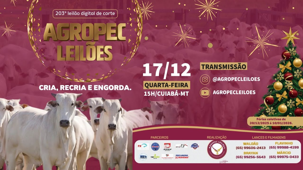 203&ordm; LEIL&Atilde;O DIGITAL DE CORTE AGROPEC