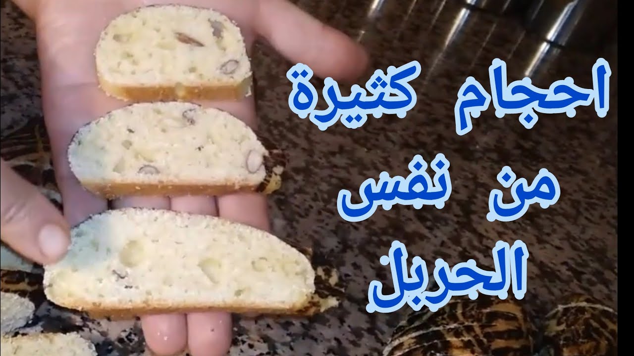 حلويات العيد طريقة ساهلة باش تتحكمي في حجم الفقاص حتى لو كان الحربل صغير