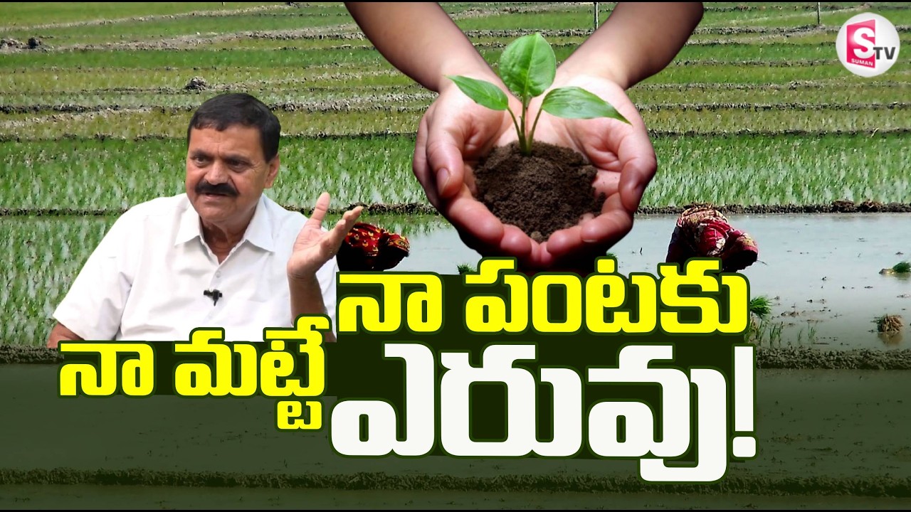 నా మట్టే నా పంటకు ఎరువు..! | Organic Farming | Chintala Venkata Reddy | @SumanTVRythu