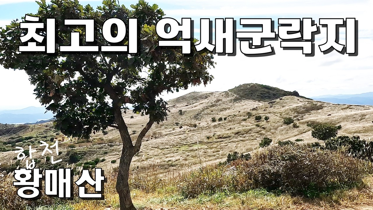 국내 최대 면적의 억새군락지 황매산 은빛 억새 향연 모산재는 기암괴석의 전시장 드론영상