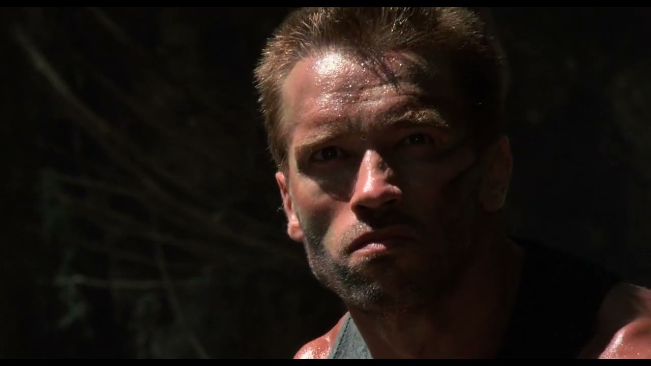 Predator Net Trap Scene
