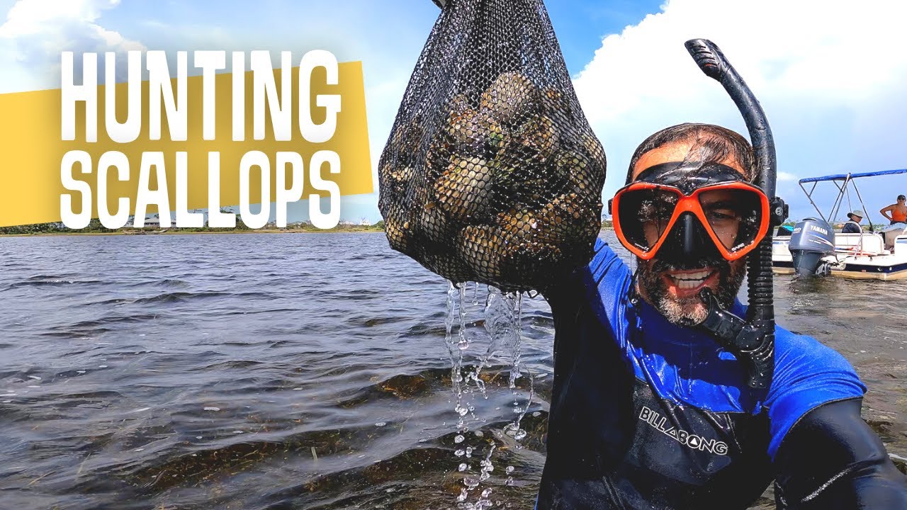 Successful Scalloping Do's and Don'ts