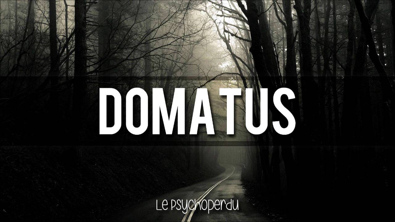 Domatus - Le Psychoperdu [Psytribe]